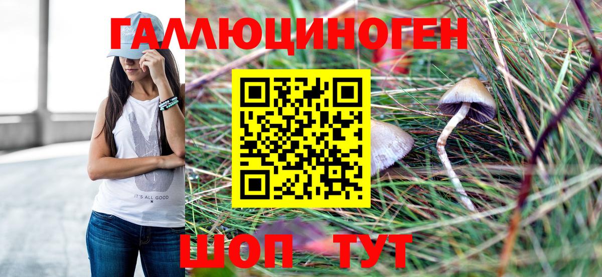 наркотики  Галлюциногенные грибы Psilocybe  Вход с VPN  Россошь 